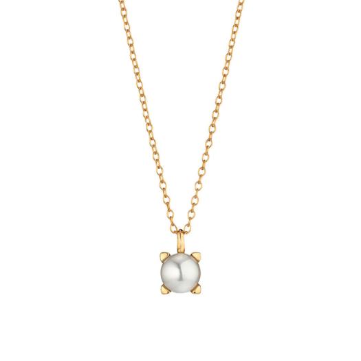 Gellner - Delight Collier